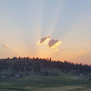 Meet your Posher, Lance